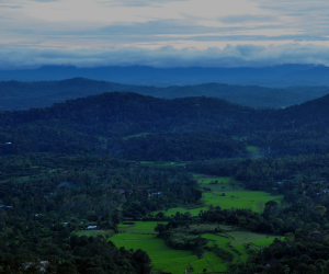 Coorg